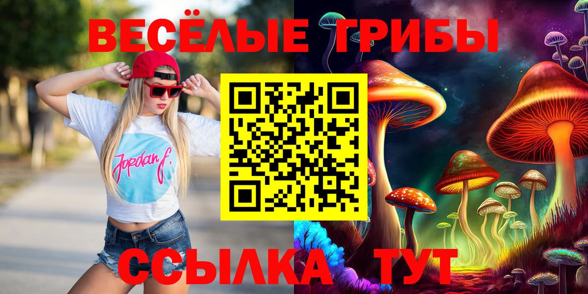 Псилоцибиновые грибы GOLDEN TEACHER Нурлат