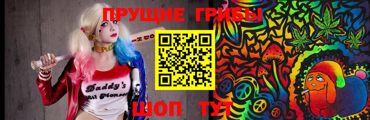 Нурлат  Псилоцибиновые грибы Cubensis  Вход с VPN  Псилоцибиновые грибы мухоморы 